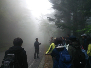 写真１．霧の中のスポットセンサスの練習．