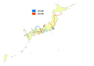 図１． 2014年と2015年の4月中旬までのムナグロの渡来ライン．2014年は，4/20頃までに東北太平洋岸で観察されており，4/24に北海道に到達．2015年は5/9日に北海道で観察された． Photo by  三木敏史