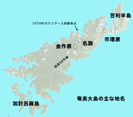 図１．奄美の地図