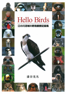 HelloBirds漆谷光名_表紙