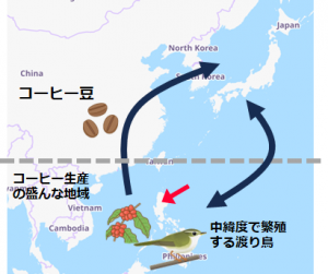 コーヒーと夏鳥越冬地の図